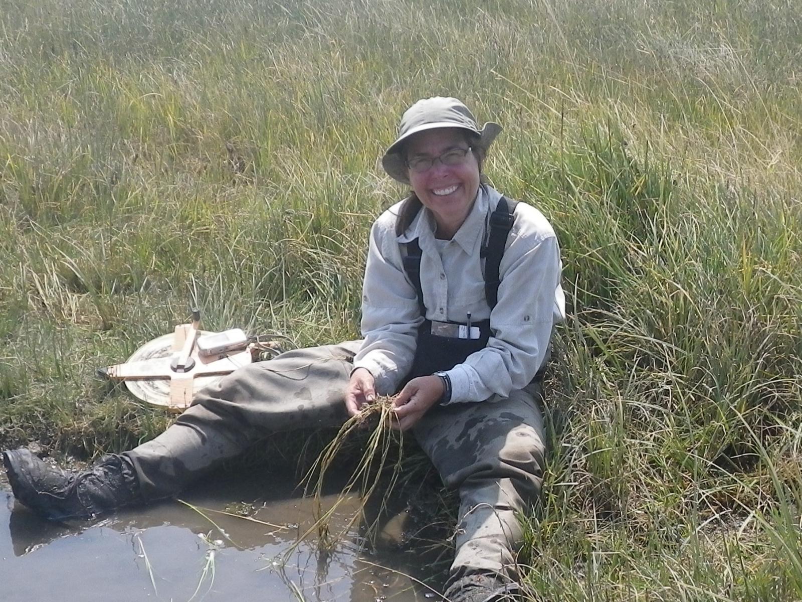 PNNL scientist Amy Borde identifies grass species at the edge of a brackish marsh.