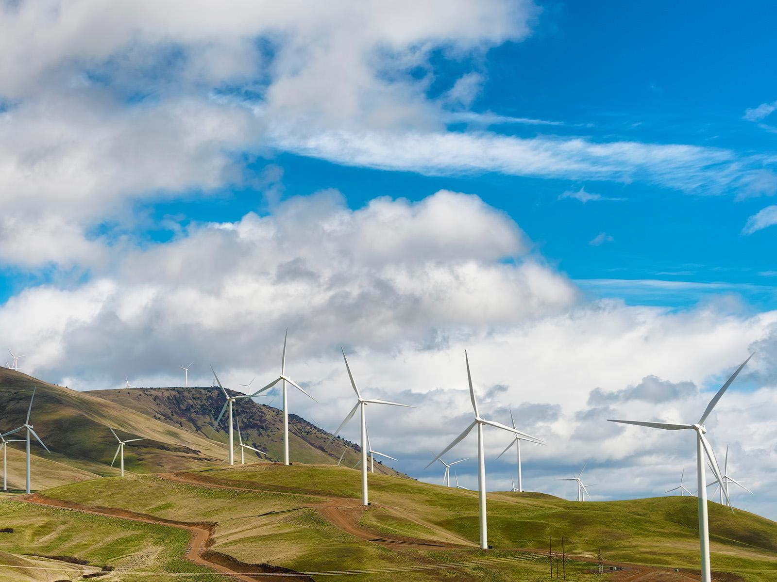 Photograph shows a hillside with wind turbines against a blue sky.