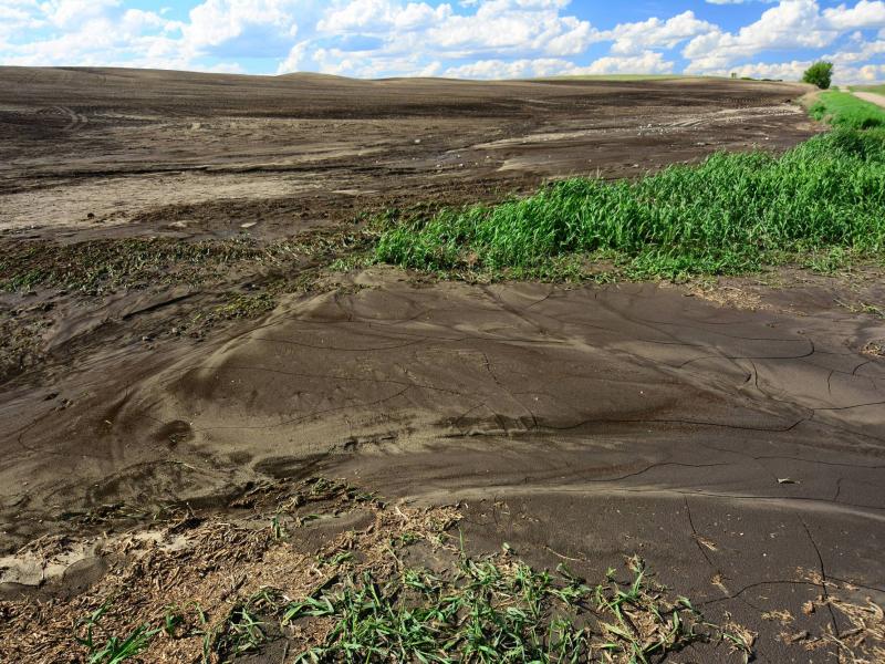 Photograph of muddy land with a little bit of green plant life.