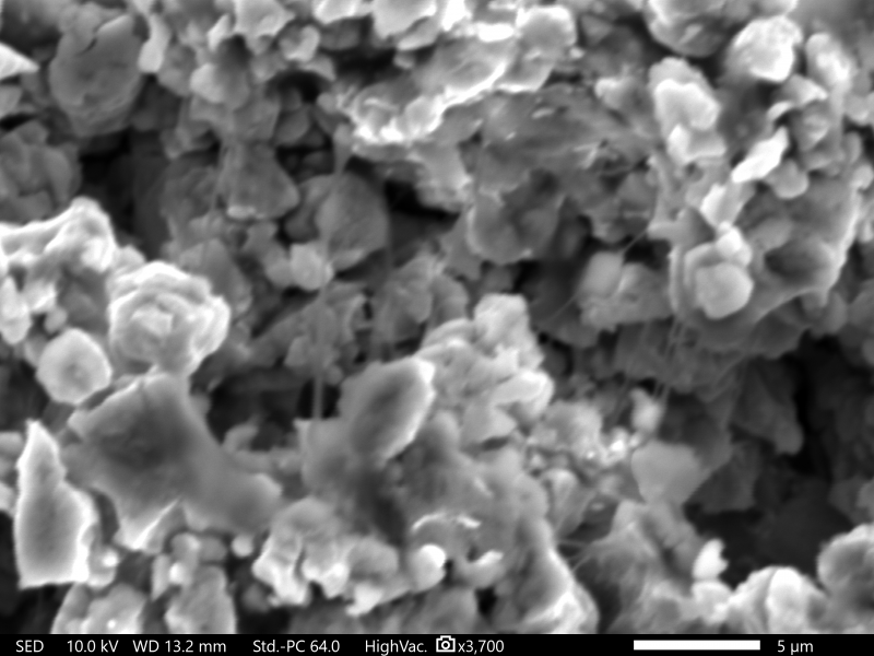 Scanning electron microscopy image of electrolyte binder and film