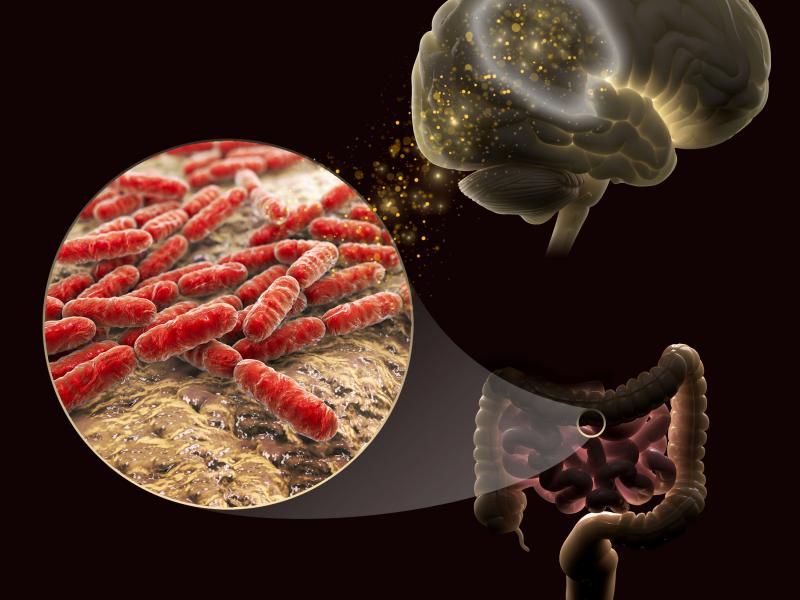 The gut microbiome's brain connection.