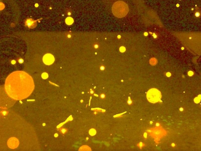 Illuminated nanoparticle tracers
