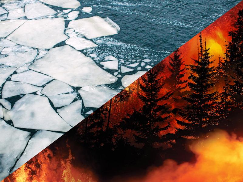 A split screen image shows, in the upper left hand corner, Arctic sea ice and, in the lower right hand corner, a burning forest