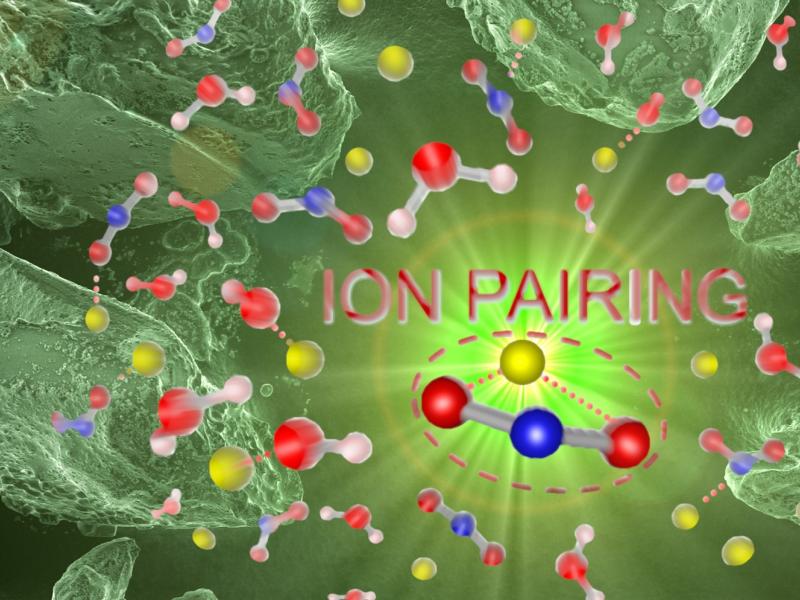 Bright illustration showing multiple molecules and "ION PAIRING" in bold letters